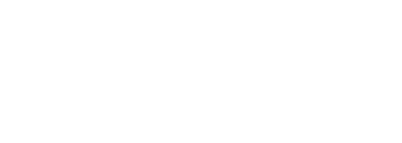 VICTUS Networks